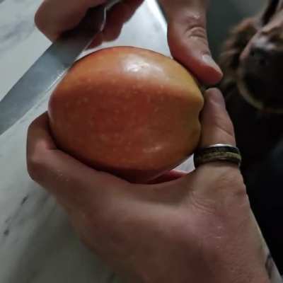 These apples I bought have red flesh inside.