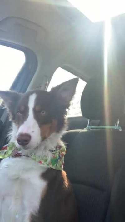 “It’s okay mom, I’m not sleepy I’m just resting my eyes.” 😂