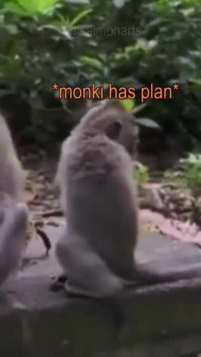 Smart monke do trick for banana