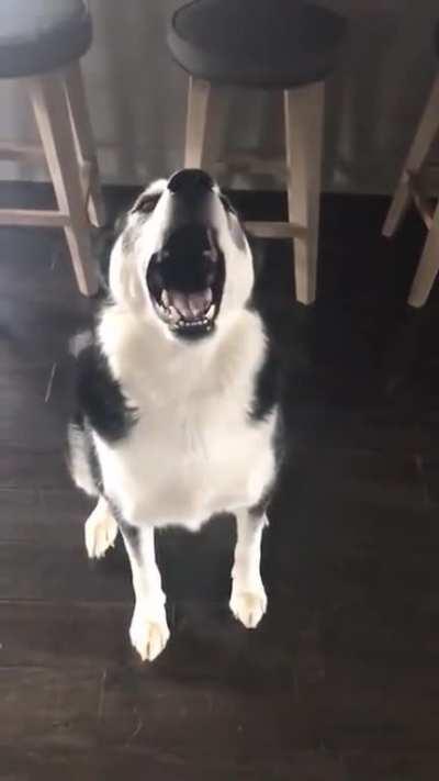 can't be in trouble if you can't hear what they're saying! 