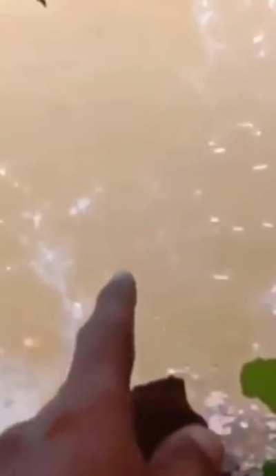 uhhh ok. no swimming for me