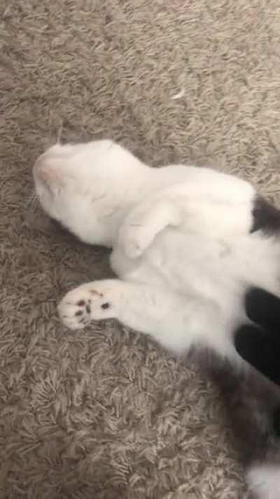 This glove brush is the best thing we’ve bought