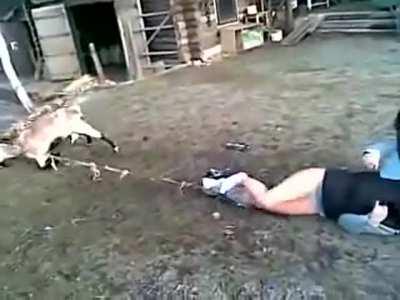 Pantsed by goat