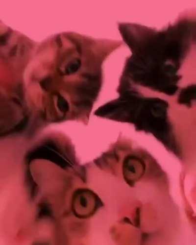 Me and the boys after Covid-19 is over