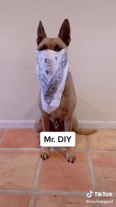 Choosing your Covid character