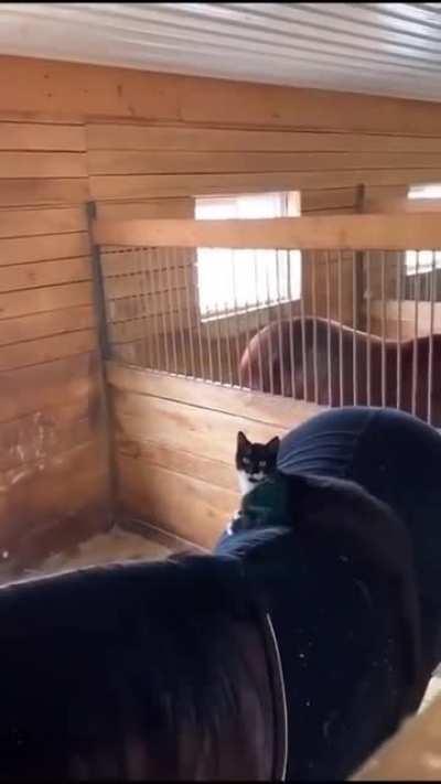 A different love story