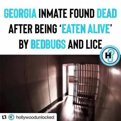 Man with Mental Illness Died in Bedbug-Infested Jail Cell, Was 'Eaten Alive by Insects