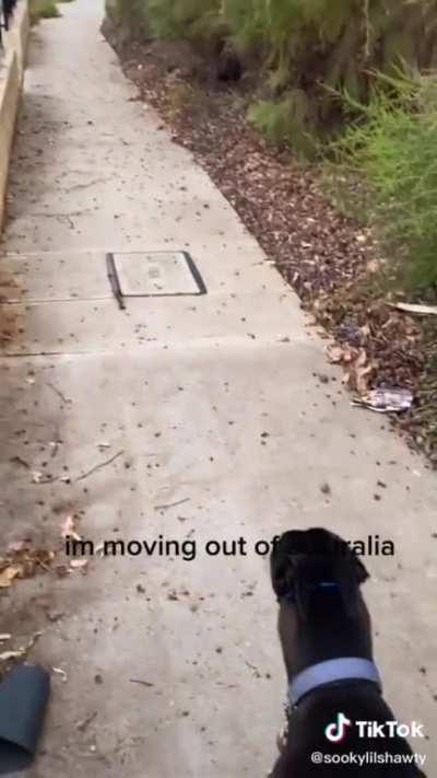 Damn Nature, you Scary