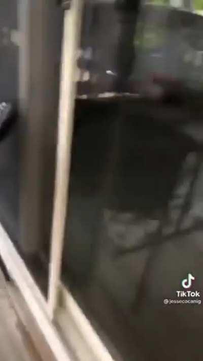 haha, girl go eghgugh!