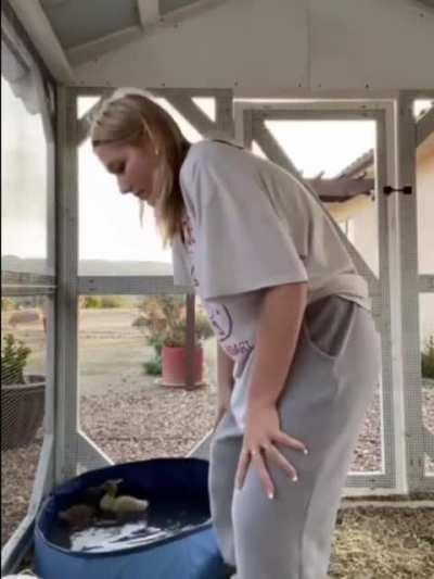 How to communicate with ducks