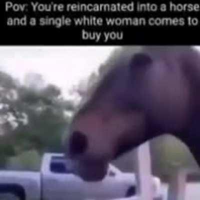 I'm 15 and this is yeet