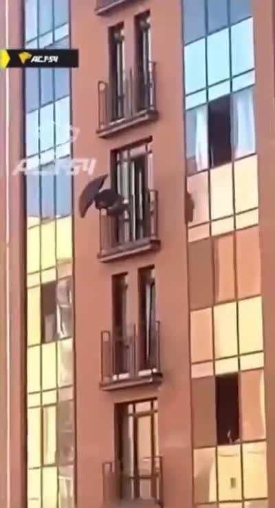 2023 Darwin Award of the year