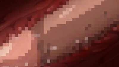 Oideyo! Mizuryuu Kei Land 1