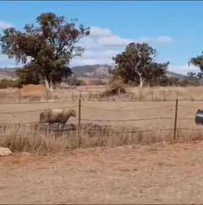 Better to bend than to break