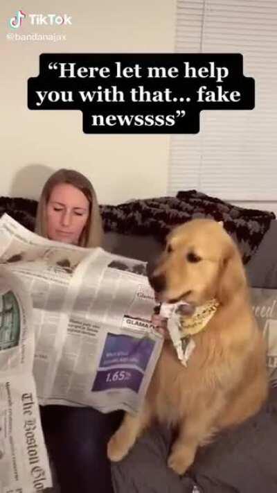 How to deal with fake news