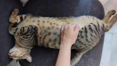 Pics or it didn't happen