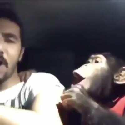 H***n tell funny joke