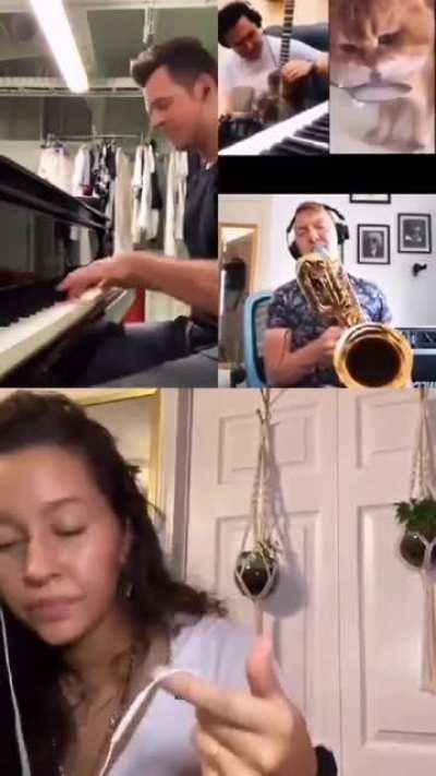 Cat mlem makes music!