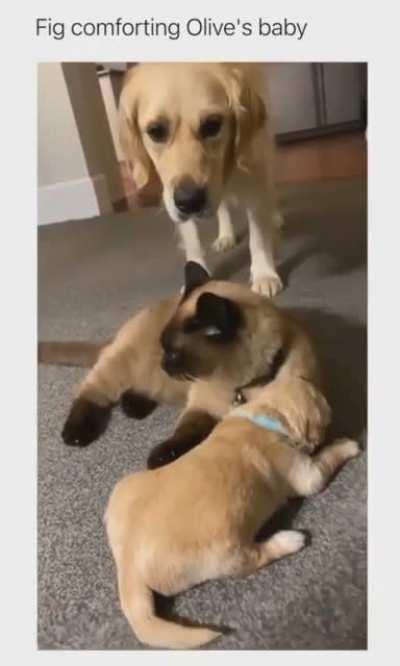 I got this, Olive, you can take the rest of the day off