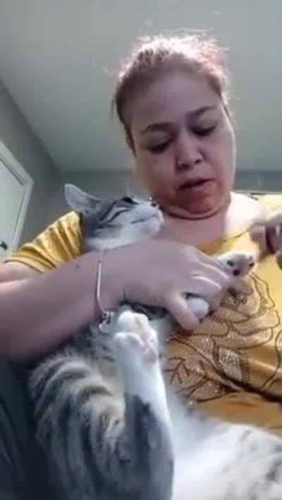 I know how to hiss just like you.