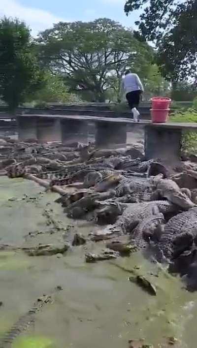 Главное не упасть...