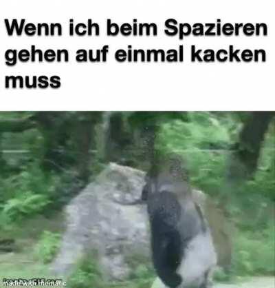ich😳iel