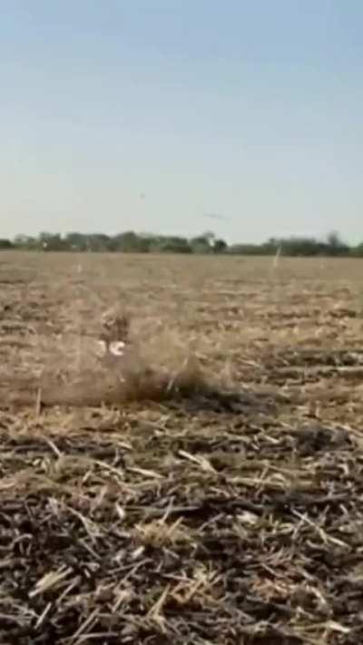 ❤️ Loitering munitions ❤️