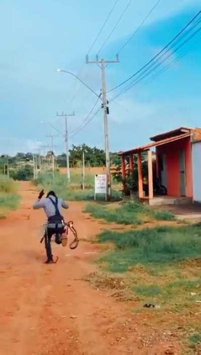 WCGW if I try to move this swarm?