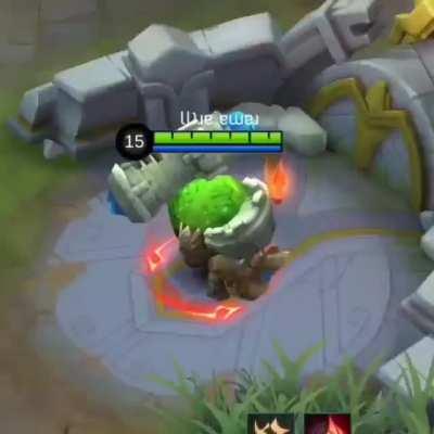 they grow up so fast