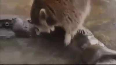 Че за на.... еп... колдунство !!!!