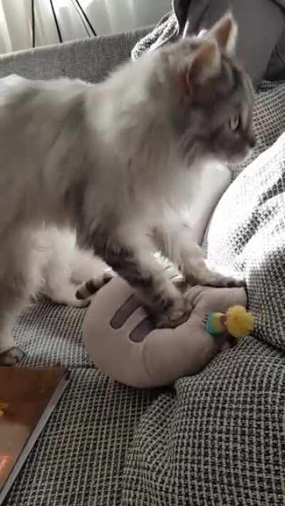 Sherry gives Pusheen a massage