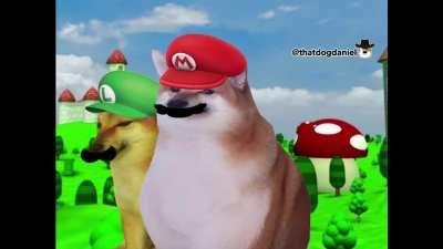 Le real Mario footage has arrived