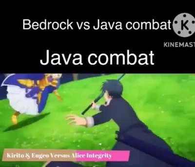 Java vs Bedrock combat be like