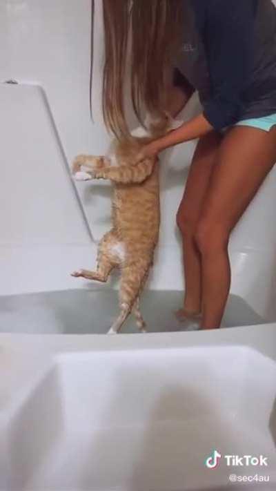 YOU DONT WANT TO DO THIS