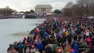 Holy shit! The is the Lincoln Memorial in D.C. The People's March against Trump, the oligarchs, and the Nazification of America was no joke.