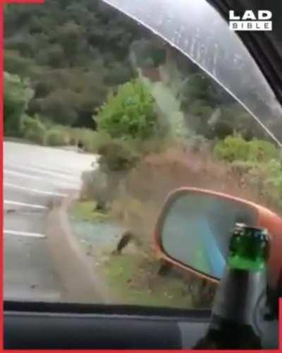 I see they added a new feature in this model