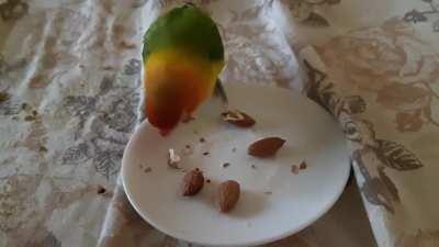 She looks so innocent 😊