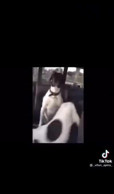 when i see a new pami post