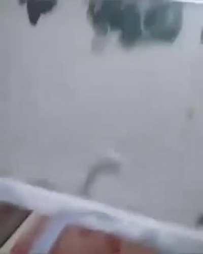 Alto setup👌🥵 (advertencia de audio)