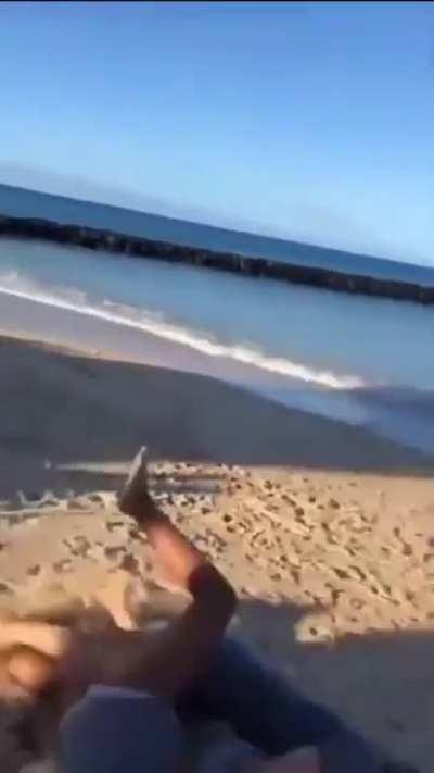 Beach Fight - They were running around so much 😁😁