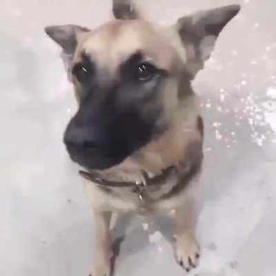 título interessante