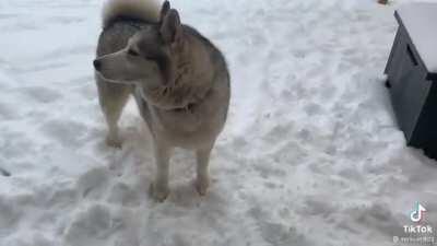 “Shut up mom, I’m in my element”