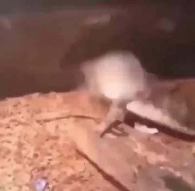 Honestly appalling that people actually think like this