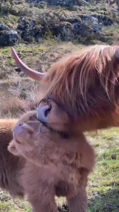 Kisses from mommy 🥰😇😻