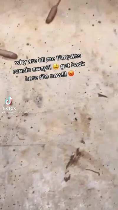 Thanks, I hate rat tailed maggots