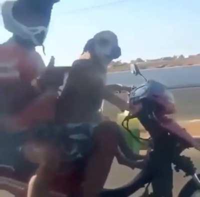 AHH! Another reason.