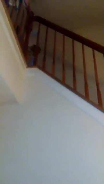 First challenge, trying to keep them alive