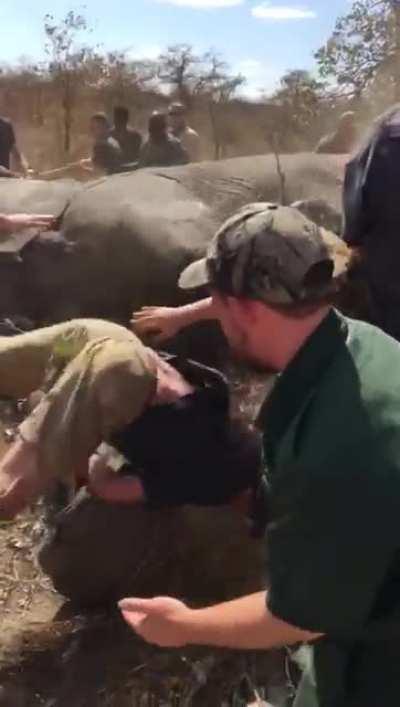 Went for a ride there bud..