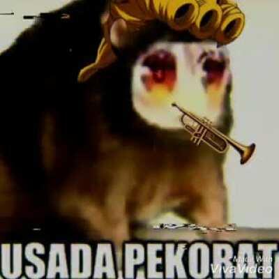 I dont know how to be funny so here is a pekorat video thingy I made