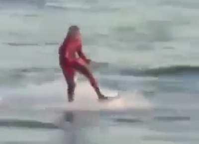 HMB while I feed a shark and catch a ride